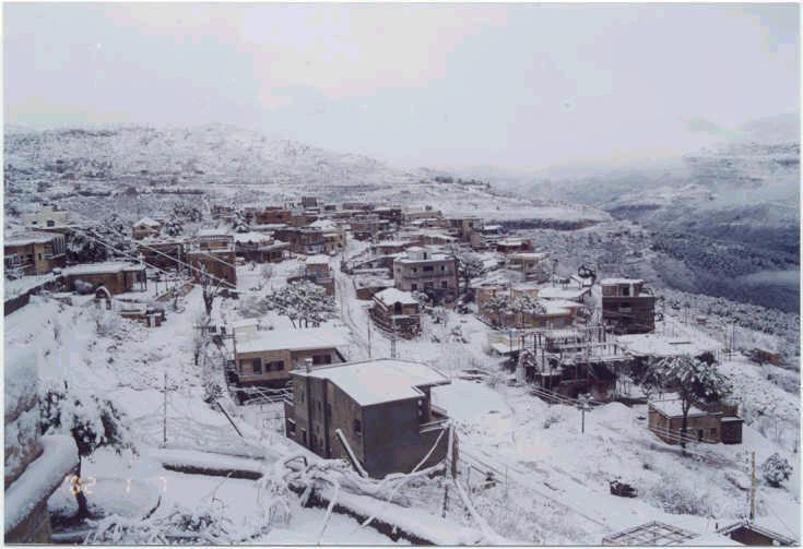 صور من دفون