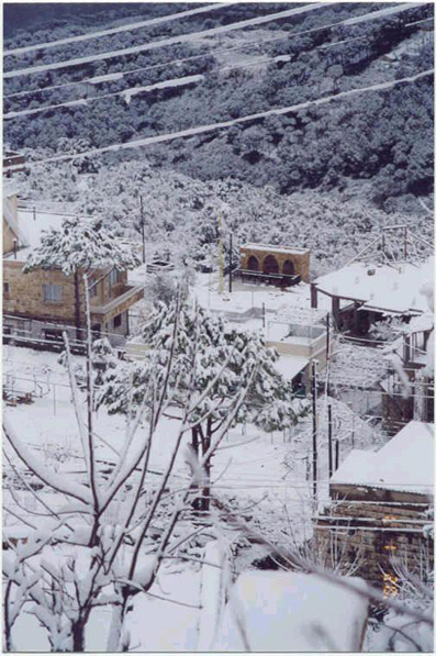 صور من دفون