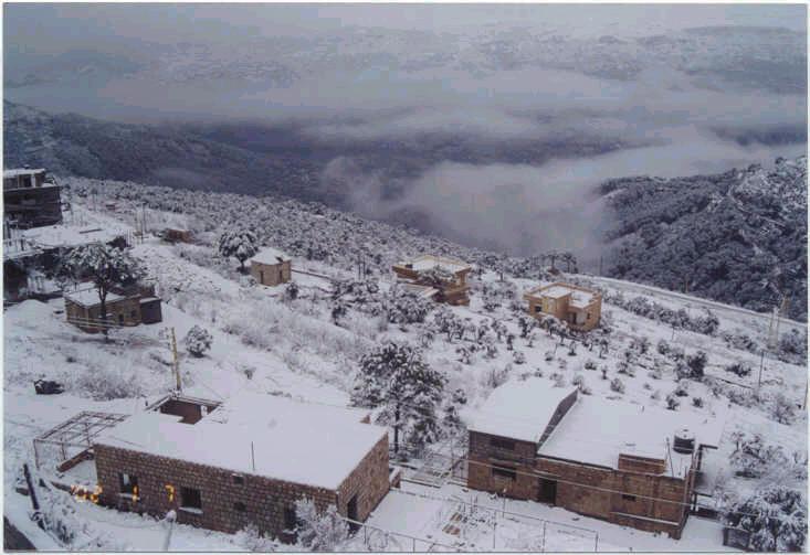 صور من دفون