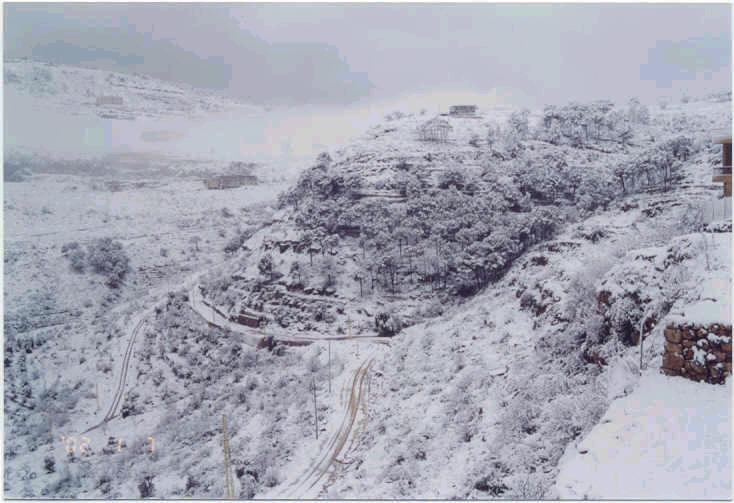 صور من دفون