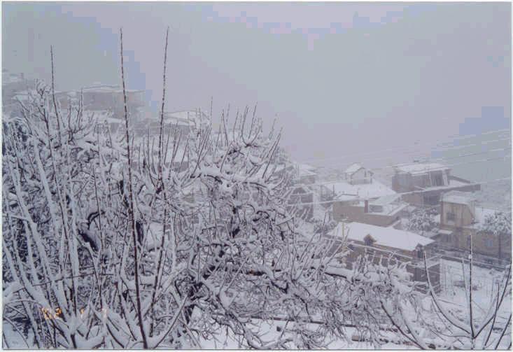 صور من دفون