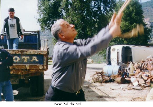 صور من دفون