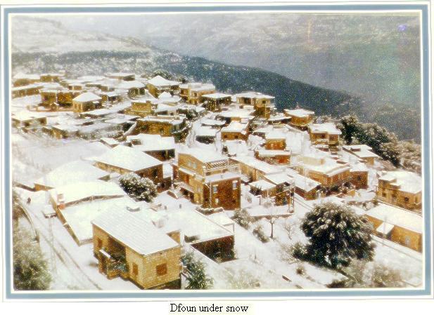 صور من دفون