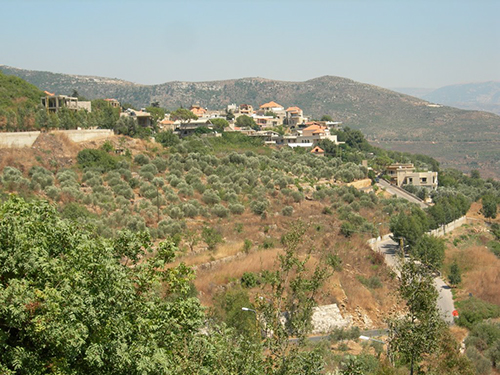 صور من دفون