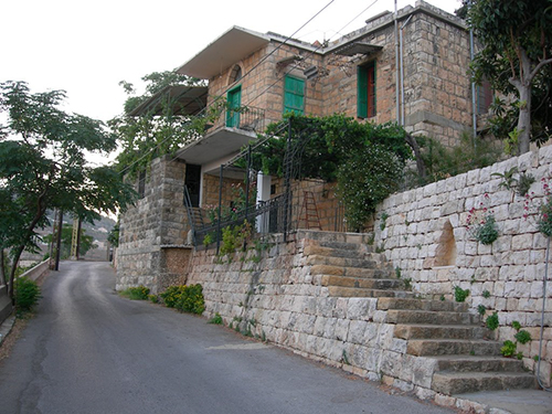 صور من دفون