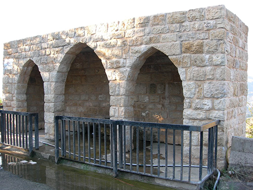 صور من دفون