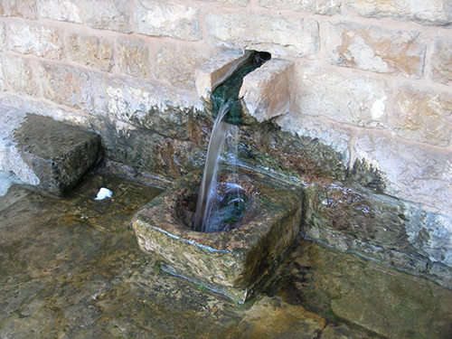 صور من دفون