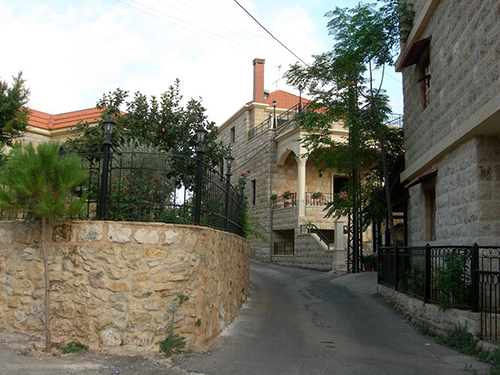 صور من دفون