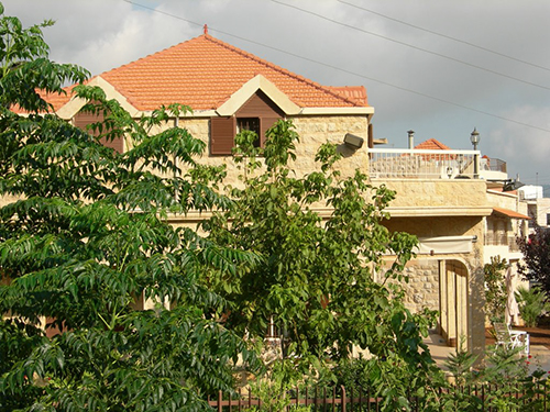 صور من دفون