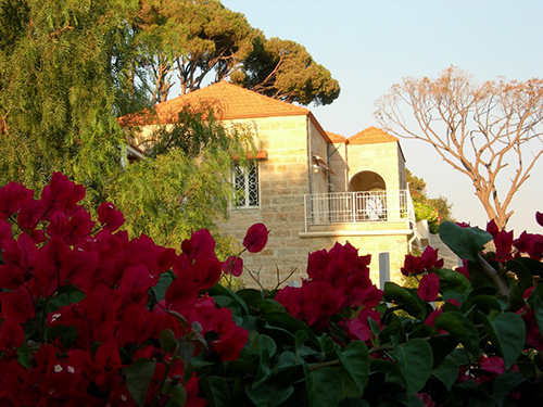 صور من دفون