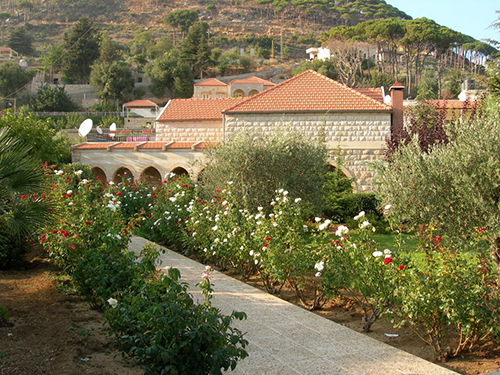 صور من دفون