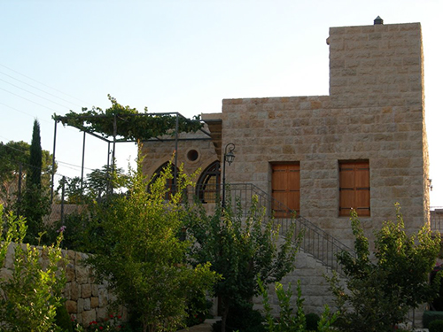 صور من دفون