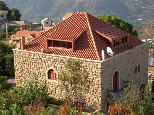 صور من دفون