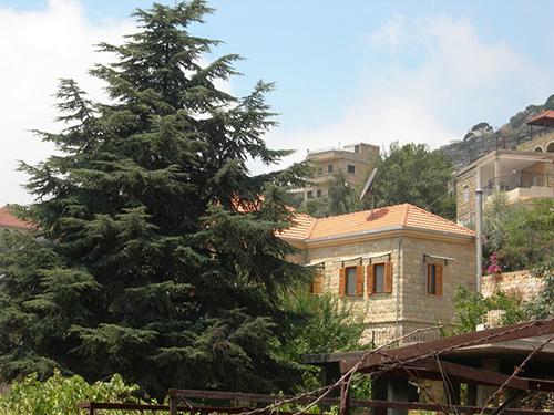 صور من دفون