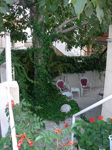 صور من دفون