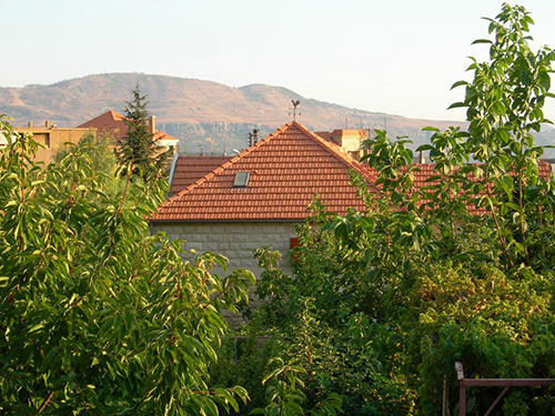 صور من دفون