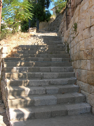 صور من دفون