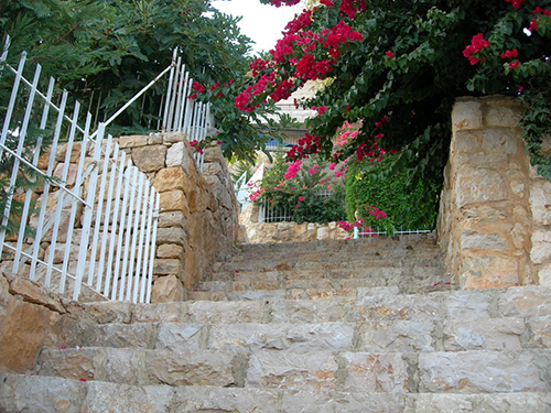 صور من دفون