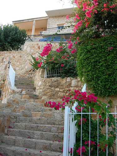 صور من دفون