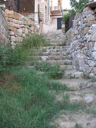 صور من دفون