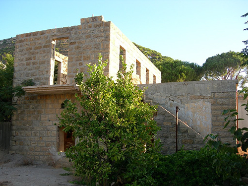 صور من دفون