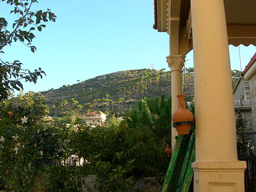 صور من دفون