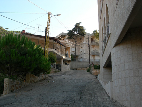 صور من دفون