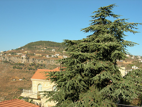 صور من دفون