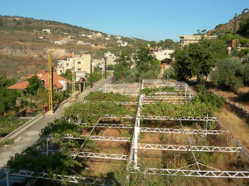 صور من دفون