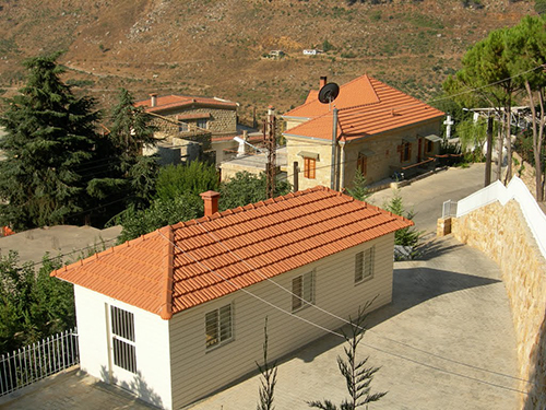 صور من دفون